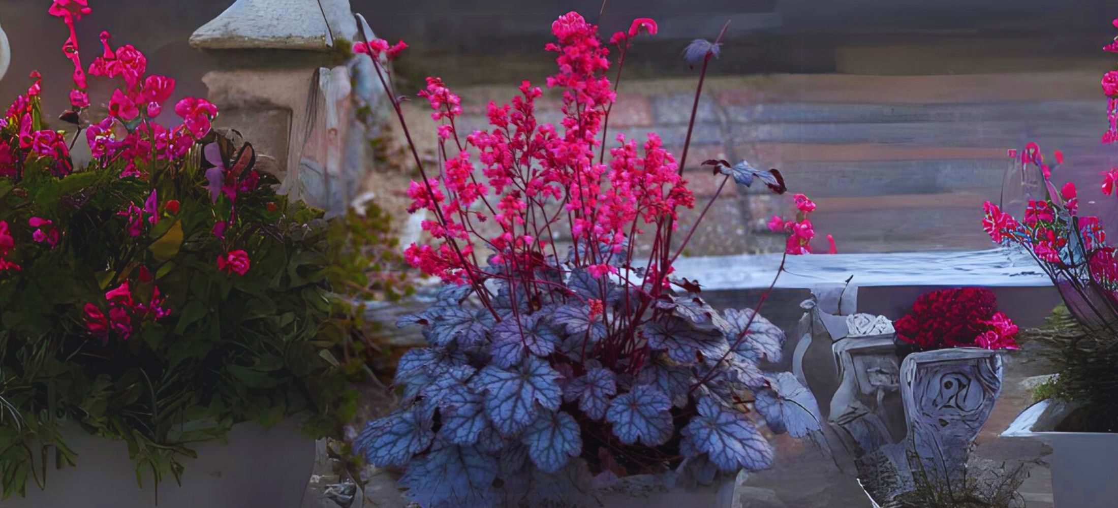 Coral Bells (Heuchera)