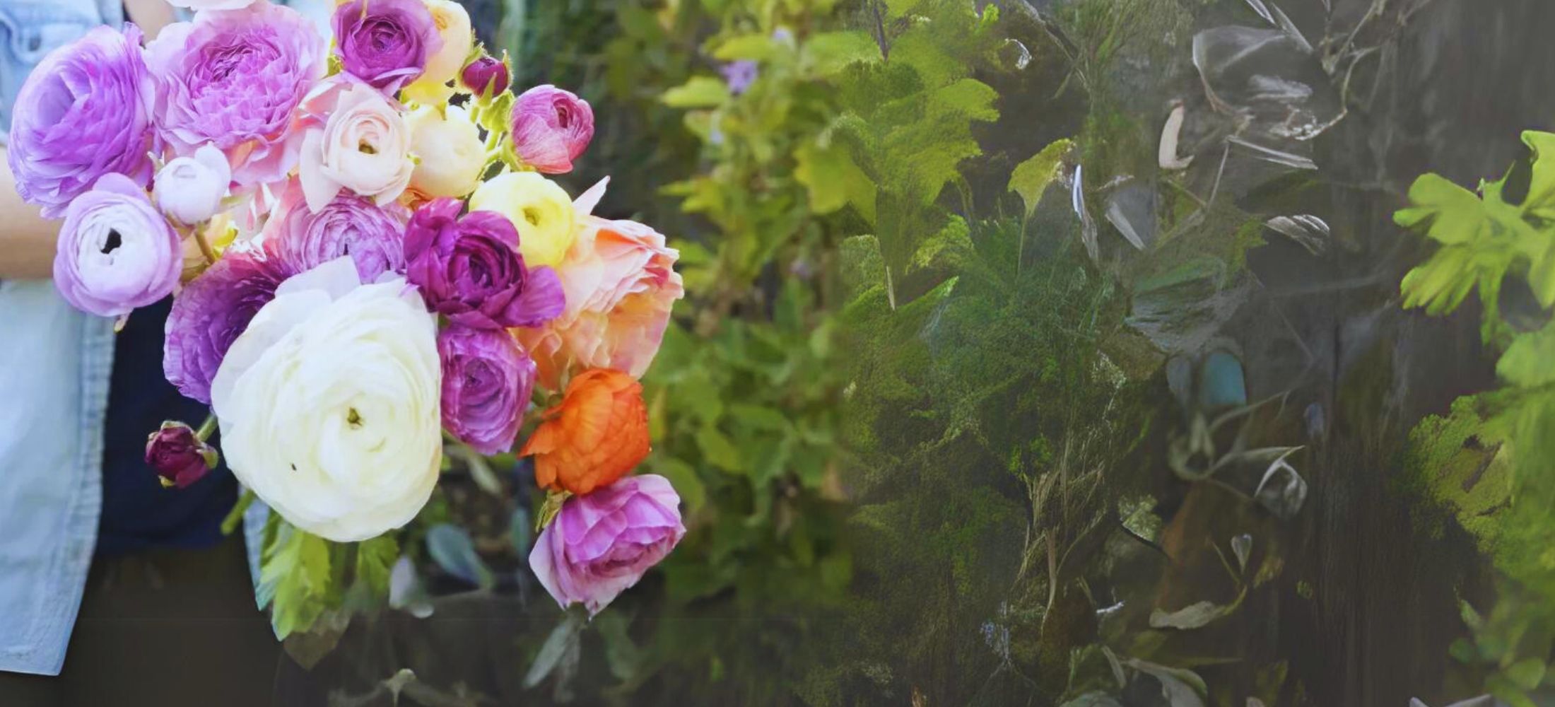 Ranunculus flowers