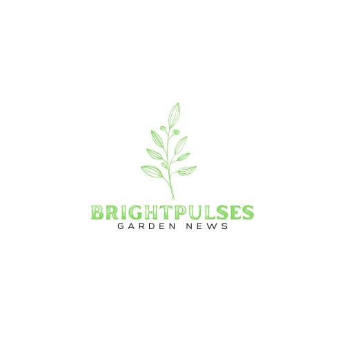 Brightpulses.com